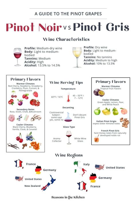 Pinot Noir vs Pinot Gris: Discover unique flavors, perfect food pairings, & tips for wine lovers. Ideal for summer gatherings. Pinot Noir Food Pairing, Wine Tasting Card, Wine Basics, Wine Cheese Pairing, Wine Chart, Wine Variety, Grape Varieties, Wine Flavors, Wine Knowledge