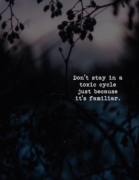 Toxic Cycle Quotes, Toxic Cycle, Breaking Cycles, Mindfulness App, She Changed, Motivation Psychology, Toxic Love, Not My Circus, Instagram Picture Quotes