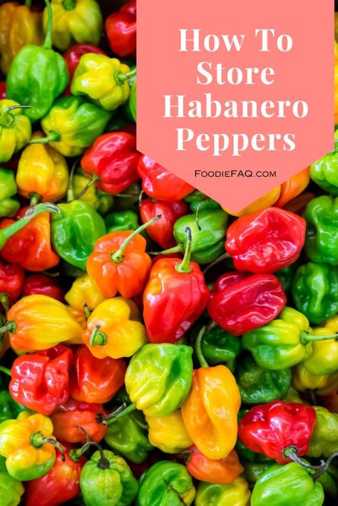 How To Can Habanero Peppers, How To Pickle Habanero Peppers, Recipes For Habanero Peppers, Canning Habanero Recipes, Preserve Habanero Peppers, Fresh Habanero Recipes, How To Preserve Habanero Peppers, Preserving Habanero Peppers, What To Do With Habanero Peppers