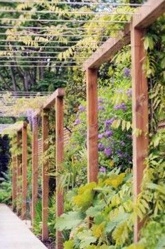 http://simonscottlandscaping.co.uk/home-2/pergola-with-wires-harriet-wolsely-designs-2/ Small Pergola, Cheap Pergola, Pergola Swing, Patio Pergola, Pergola Lighting, Pergola Garden, Pergola Design, Garden Vines, Wooden Pergola