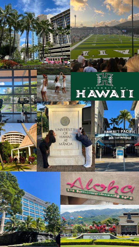 University Of Hawaii Aesthetic, College In Hawaii, Hawaii University, University Of Hawaii At Manoa, Dream Collage, University Of Hawaii, Dreams And Visions, Dream College, Dream School