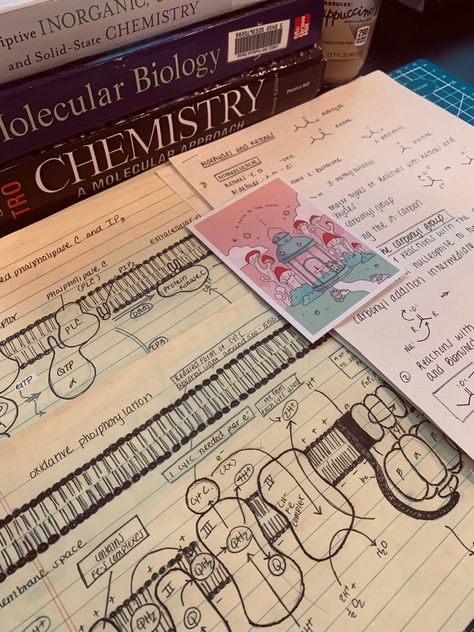 Chem Class Aesthetic, Medical Biology Aesthetic, Biochem Major Aesthetic, Biochemistry Major Aesthetic, Organic Chem Aesthetic, Biotech Student Aesthetic, Bio Science Aesthetic, Chemistry Science Aesthetic, Studying Aesthetic Chemistry