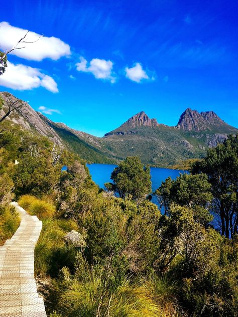 Tasmania, Australia! Cataract Gorge in Launceston, Wineglass Bay in Freycinet National Park and hiking the trails of Cradle Mountain National Park. Oh and Wallabies! Lots of Wallabies! Australia Nature Photography, Freycinet National Park, Tasmania Aesthetic, Tasmania Hiking, Australian Mountains, Australia Hiking, Hiking Australia, Wineglass Bay, Cradle Mountain Tasmania