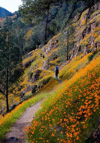 Hites trail Merced River, Nature Trails, Cheap Flight Tickets, Cheap Flight, Nature Scenery, Flight Tickets, Fairy Queen, Mountain Trails, Nature Trail