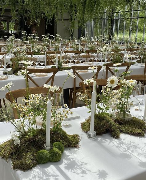 Moss Centerpiece Wedding, Moss Centerpieces, Moss Wedding, Wedding Setup, Bride Floral, Elegant Candles, Greenhouse Wedding, European Wedding, Wedding Tent