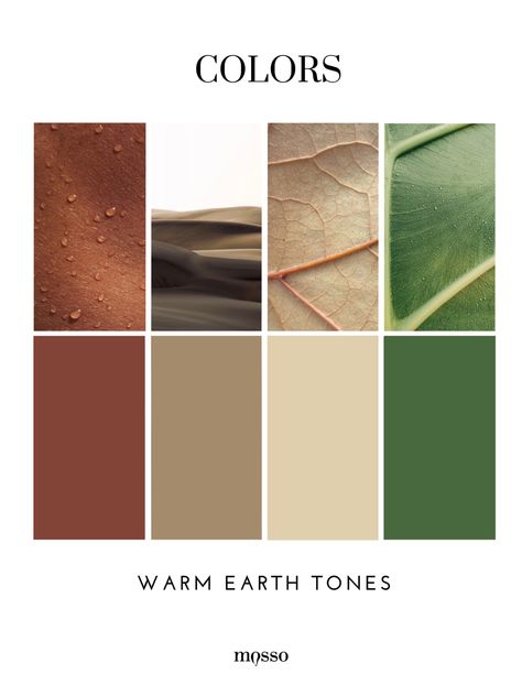 Biophilic Color Palette, Earthy Colors Palette, Earth Tones Branding, Warm Color Pallet, Earthy Mood Board, Color Palette Earth Tones, Earth Color Palette, Earth Tones Palette, Earth Palette