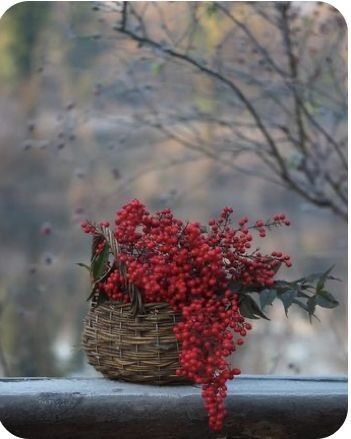 강아지 그림, Autumn Beauty, Beautiful Flowers Pictures, Christmas Crafts Decorations, Autumn Art, Beautiful Nature Pictures, Red Berries, Flower Pictures, All Things Christmas