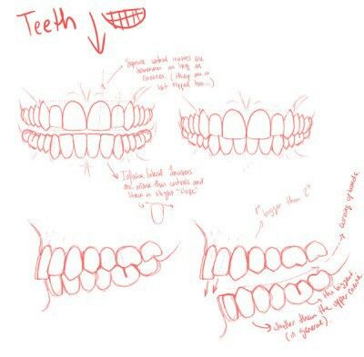 Teeth Drawing, Teeth Art, Mouth Drawing, Drawing Tutorial Face, Human Anatomy Drawing, Face Drawing Reference, Manga Drawing Tutorials, Drawing Studies, Drawing Expressions