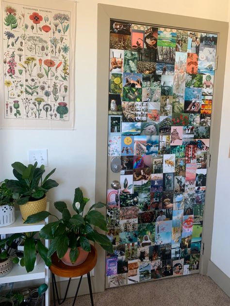 Door Photo Collage, Picture Door Ideas, Door Collage Bedroom, Room Aesthetic Cottagecore, Vsco Mirror, Birthday Door Decorations, Door Collage, Cottagecore Plants, Birthday Bedroom