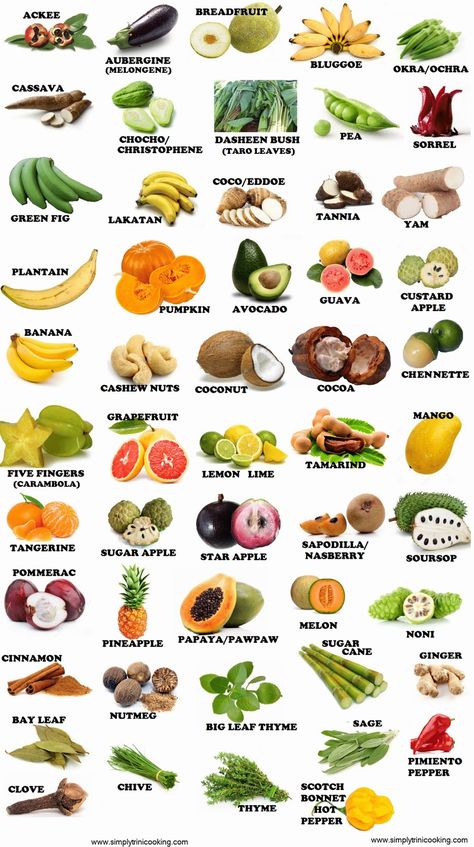 Caribbean Fruits and Vegetables, Trinidad food Fruits And Vegetables Names, Trinidad Food, Fruits And Vegetables List, Name Of Vegetables, Fruits Name In English, Vegetable Chart, Fruits And Vegetables Pictures, Trinidad Recipes, Carribean Food