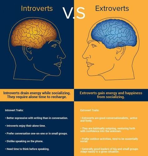 Extrovert Character, Infographic Psychology, Introvert Vs Extrovert, Character Writing, Introvert Personality, Introvert Problems, Introvert Quotes, The Human Brain, Extroverted Introvert