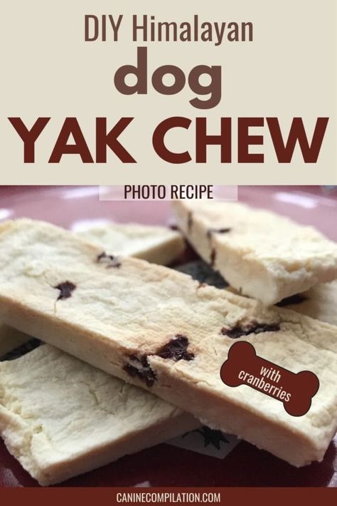 Diy Dog Chews, Dog Chews Homemade, Pet Recipes, Pet Snacks, Easy Dog Treat Recipes, Doggy Treats, Dog Biscuit Recipes, Pet Things, Easy Dog Treats