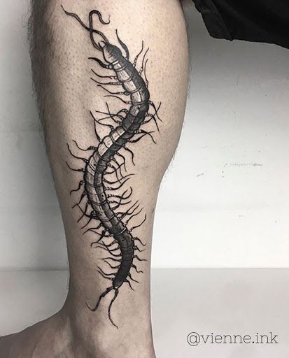 Dark Centipede Tattoo, Creepy Spine Tattoos, Centipede Leg Tattoo, Cien Pies Tattoo, Centipede Tattoo, Tattoo Pierna, Centipedes, Spartan Tattoo, Tattoo Maker