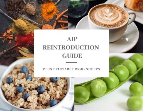 Guide to AIP Reintroductions PLUS Printable Worksheets Bacon Pasta Salad Recipes, Paleo Basics, Glass Noodles Recipe, Autoimmune Diet Recipes, Aip Recipe, Aip Diet Recipes, Autoimmune Protocol Diet, Autoimmune Paleo Recipes, Gummies Recipe