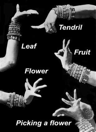 #bellydance hand gestures - seems like there's some missing? Belly Dancing Classes, Indian Classical Dance, Hand Gestures, Dance Tutorial, Indian Dance, Makeup Tricks, Belly Dancing, Belly Dance Costumes, Jive