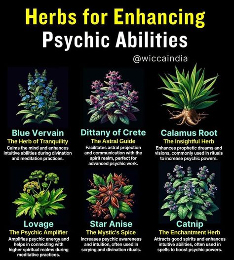 Wiccan Rede, Nyttige Tips, Magickal Herbs, Medical Herbs, Magia Das Ervas, Magic Herbs, Spell Jar, Magical Herbs, Energy Healing Spirituality