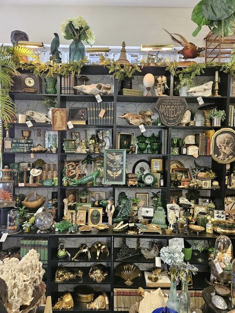 Fall Booth Displays Vintage, Fall Store Displays, Booth Decoration, Vintage Store Ideas, Dark Green Rooms, Dark Cottagecore Decor, Oddities Decor, Vintage Booth Display, Flea Market Booth