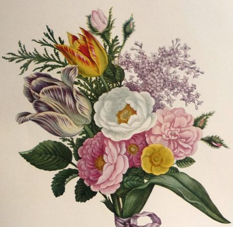 A Bouquet of Flowers - Botanical Illustration - 19th Century Floral Painting - Spring Summer Tulips Lilacs Peonies Summer Tulips, Oil Painting Gallery, Watercolor Tattoo Flower, Wreath Drawing, Vintage Bouquet, John Henry, Floral Oil Paintings, Trendy Flowers, Botanical Drawings