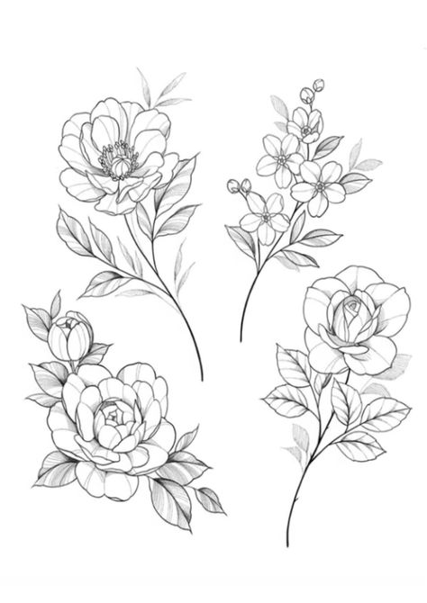 Floral Line Drawing Tattoo, Fine Flower Tattoo Design, Linework Flower Tattoo, Flower Linework, Peony Outline, Fineline Flowers, Feminine Floral Tattoo, Flower Outline Tattoo, Fine Line Floral Tattoo