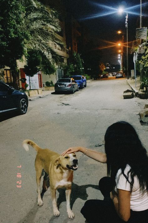 #dog #streets #love #animals #pets #aesthetic Pets Aesthetic, Night Rides Snapchat, Street Pics, Attitude Bio For Instagram, Husky Pics, Photos With Dog, Snap Streak Ideas Easy, Dog Poses, Street Dogs