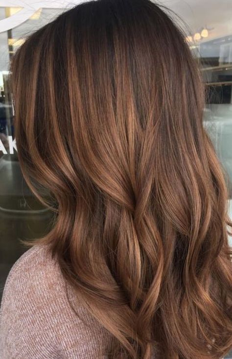 Hazelnut Hair Color, Hazelnut Hair, Hairstyles For All Hair Types, Warm Brown Hair, Chestnut Hair, Chestnut Hair Color, Honey Brown Hair, Brown Hair Inspo, Vlasové Trendy