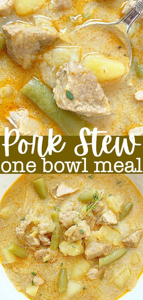 Soup Using Pork Roast, Soup With Pork Chops, Pork Stewing Meat Recipes, Soup Using Pork, Recipes Using Pork Stew Meat, Pork Stew Meat Recipes Air Fryer, Leftover Pork Roast Soup Recipes, Recipes Using Pork Broth, Stew With Pork Meat