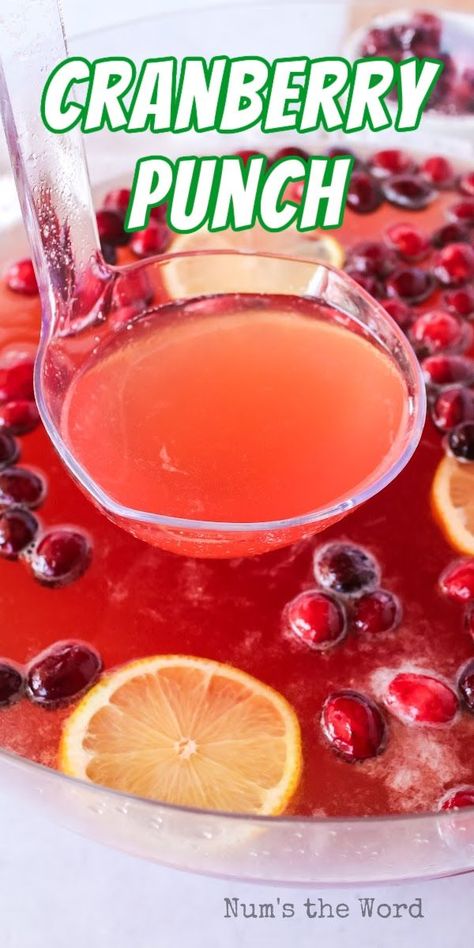 Cranberry Punch is the perfect holiday season drink! Sweet and delicious, it’s a crowd pleaser every year! #numstheword #cranberry #punch #sweet #drinks #holidays #gatherings Cranberry Punch Recipes Non Alcoholic, Sparkling Cranberry Punch, Cranberry Juice Recipes, Best Punch Recipe, Cranberry Ginger Ale, Thanksgiving Punch, Cranberry Punch, Traditional Holiday Recipes, Cranberry Thanksgiving