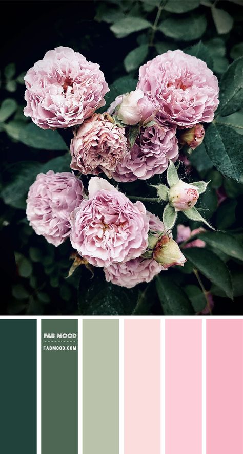 Color inspiration images Archives 7 - Fab Mood | Wedding Colours, Wedding Themes, Wedding colour palettes Sage Green And Blush Pink Wedding Colour Palettes, Sage Green And Pink Colour Palette, Light Pink Colour Palette, Colours That Go With Pink, Green And Blush Color Palette, Light Pink Color Palette, Pink And Green Colour Palette, Pink And Green Color Palette, Taupe Color Schemes