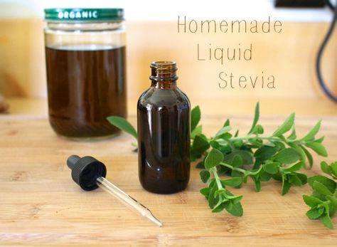 DIY Homemade Liquid Stevia Healthy Food Art, Stevia Recipes, Pumpkin Seed Butter, Greek Yogurt Brands, Liquid Stevia, Easy Healthy Lunches, Stevia Extract, Snacks For Diabetics, Healthy Snacks On The Go