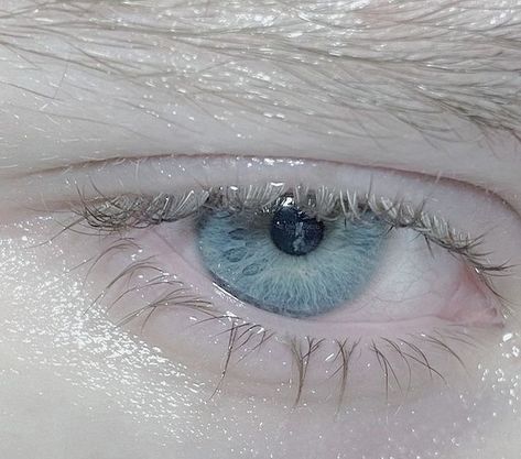 Light Blue Dragon, Eye References, Crystal Winter, Blue Eyes Aesthetic, Nature Reference, Mata Biru, Eyes Aesthetic, Light Blue Eyes, White Eyelashes