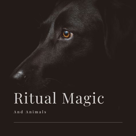 Magical Spells for Protecting and Connecting With Animals - Exemplore Pet Protection Sigil, Animal Protection Spell, Pet Healing Spell, Smudge Prayer Cleansing, Pet Spells, Animal Spells, Pet Protection Spell, Spiritual Animals, Wood Witch