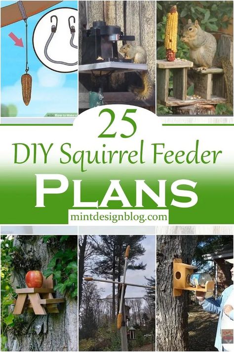 25 DIY Squirrel Feeder Plans Squirrel Feeder Plans, Diy Squirrel Feeder, Squirrel Feeder Diy, Squirrel Home, Squirrel Feeders, Squirrel Feeder, Beautiful Horse Pictures, Diy Birds, Garden Crafts Diy