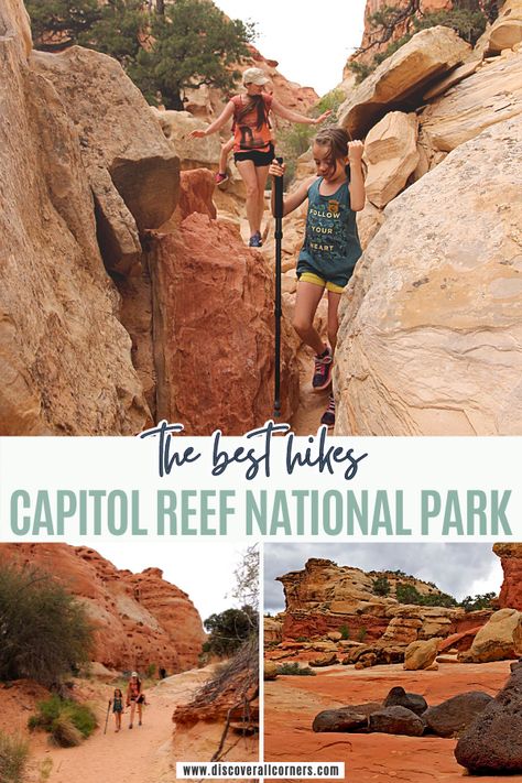 Hiking on a rocky desert trail with beautiful colorful rock formations all around. Text overlay - The best hikes - Capitol Reef National Park. Utah Roadtrip, Capital Reef National Park, Beginner Hiker, Utah Parks, National Parks America, Utah Vacation, Utah Road Trip, Utah Hikes, Capitol Reef