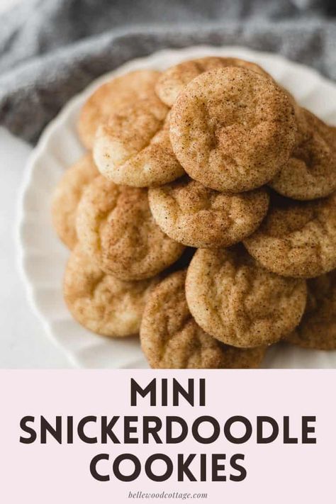 Mini Snickerdoodle Cookies, Mini Shortbread Cookies, Crumbl Snickerdoodle Cookies, Doodle Cookies, Work Snacks, Snicker Doodle, Cookie Platters, Dessert Box, Cookie Storage