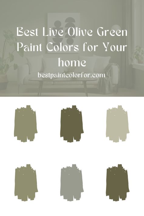 The best light olive green paint colors Light Olive Green Paint, Olive Green Paint Colors, Olive Green Paint, Green Entryway, Olive Green Paints, Sherwin Williams Green, Paint Color Guide, Olive Green Walls, Green Accent Walls