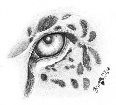 Leopard Drawing, Jaguar Tattoo, Pencil Drawings Of Animals, Animal Drawings Sketches, Eye Sketch, Tapeta Galaxie, Drawing Faces, 문신 디자인, Pencil Art Drawings