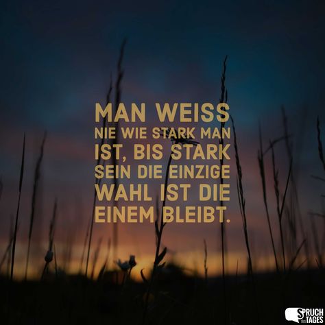 Man weiß nie wie stark man ist, bis Stark sein die einzige Wahl ist die einem bleibt. Burning Bridges, German Quotes, Stark Sein, Gulzar Quotes, Simple Quotes, Bio Quotes, Dalai Lama, Love Your Life, Sarcastic Quotes