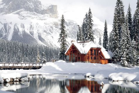 Snow Vacation, Emerald Lake Lodge, The Hunting Party, Alpine Lodge, Winter Lodge, Yoho National Park, Cabin Vacation, Lake Lodge, Emerald Lake