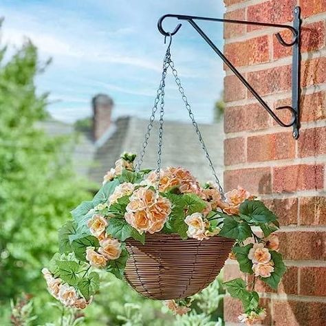 Hanging flower baskets