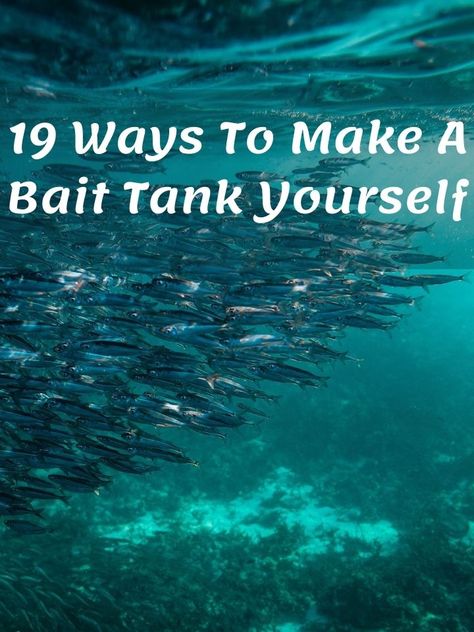 Make a bait tank to keep your live fish safe and secure! The bait tank makes it easy for you to take good care of the fish; feed them well, and easily remove the dirty water to replace it with filtered water. Through this, the fish will grow healthier. If you have ever wanted to make a DIY bait tank, you are in the right place. Below are 20 different ways you can build a bait tank with minimal cost. 1. #aquarium Live Bait Tank, Aquarium Decor Ideas, Diy Aquarium Decor, Bait Tank, Aquarium Sand, Bait Bucket, Diy Fish Tank, Aquarium Heater, Diy Aquarium