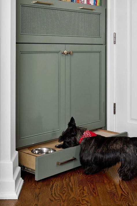 dog-bowl-cabinet-pullout-storage-29869e1b Pullout Dog Bowl, Pull Out Dog Food Cabinet, Dog Bowl Pull Out Drawer, Pet Food Storage Cabinet, Dog Bowl Storage, Cabinet With Dog Bowls, Hidden Dog Bowls In Kitchen, Dog Bowl Cabinet, Dog Cabinet Storage