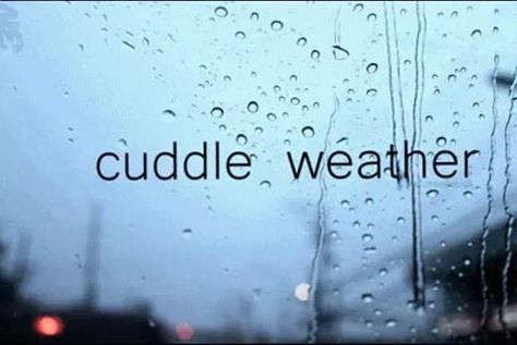 Love to cupcake Cuddle Weather Quotes, Rainy Day Quotes, Cuddle Weather, Just A Thought, Weather Quotes, General Quotes, Relationship Advice Quotes, Missing You Quotes, My Soulmate