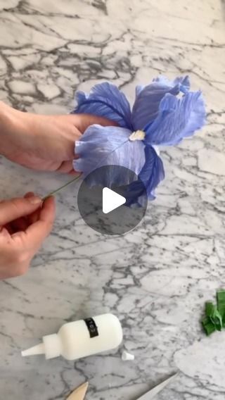 Crepe Paper Iris, Paper Iris, Crepe Paper Flowers Tutorial, Crepe Paper Crafts, Crepe Paper Flowers, Paper Flower Tutorial, Origami Flowers, Paper Flowers Diy, Iris Flowers