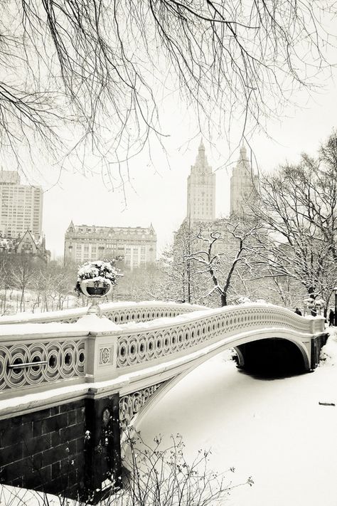 Winter Wonderland via Central Park, N.Y. Kota New York, Photo New York, Voyage New York, Winter Szenen, Greenwich Village, Winter Wonder, A Bridge, Pretty Places, City Art