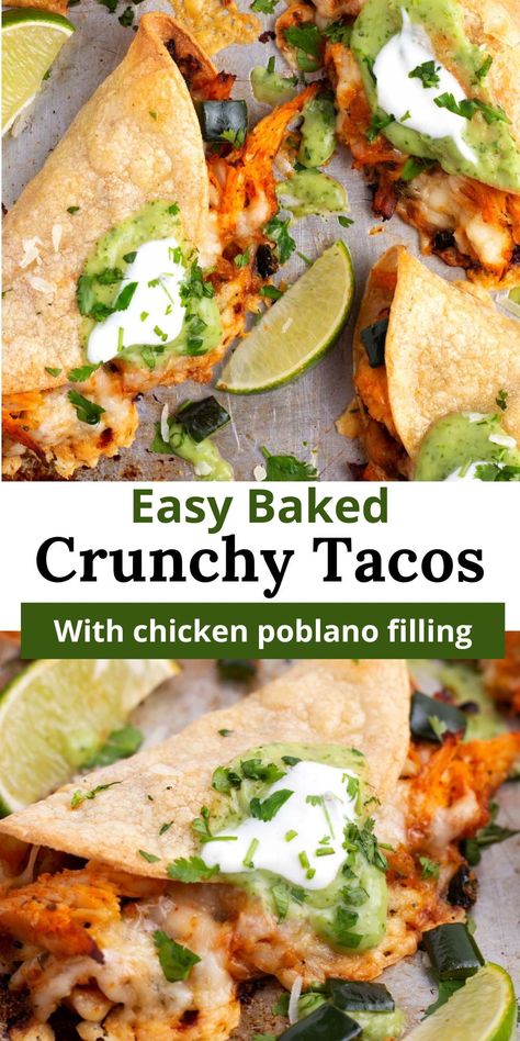 Make dinner a breeze with these easy crunchy baked chicken tacos! Stuffed with seasoned chicken breast, poblanos, and onions, then topped with gooey cheese, these tacos are baked to crispy perfection in the oven. Perfect for a quick and delicious weeknight dinner! Crispy Pablo Chicken Tacos, Baked Ground Chicken Tacos, Crispy Poblano Chicken Tacos, Chicken Poblano Tacos, Baked Crunchy Tacos, Poblano Chicken Tacos, Baked Chicken Tacos Oven, Baked Crispy Chicken Tacos, Crispy Chicken Tacos Oven Baked