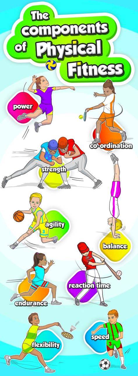 Teach your students at elementary school the components of physical fitness for PE and sport Physical Education Activities Pe Games, Elementary Pe, Pe Lessons, Pe Games, Physical Education Activities, Kindergarten Lesson Plans, Homeschool Programs, Kindergarten Resources, Physical Education