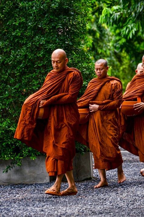 Buddhist Monk Robes, Monk Costume, Theravada Buddhism, Buddhist Monks, Beach Background Images, Zen Buddhism, Asian Culture, Beach Background, Buddhist Monk