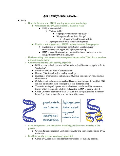 Biology 101 Study Guides, Nitrogenous Base, Cell Organelles, University List, Dna Replication, Dna Molecule, Dna Sequence, Human Dna, Life Guide