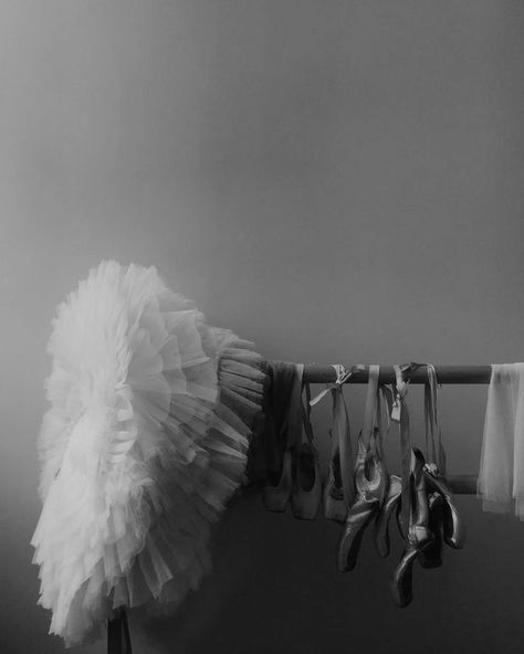 Greta Falcone, Ballerina Aesthetic, Monty Jay, Ballet Beauty, Swan Queen, Field Of Dreams, Wattpad Covers, Ballet Girls, Black And White Aesthetic