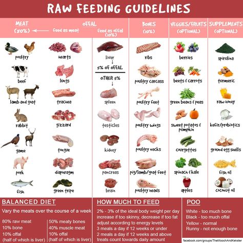 Raw dog food guidance chart Cane Corso Raw Diet, Raw Feeding Cats, Raw Dog Food Meal Prep, Dog Raw Diet, Raw Feeding For Dogs, Raw Dog Food Diet, Raw Pet Food, Diy Dog Food, Make Dog Food